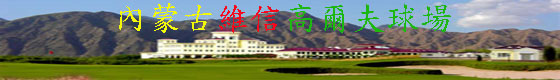 維信球場