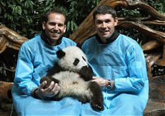 中國公開賽熱身 哈靈頓加西亞與大熊貓親密接觸