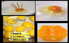 博士蛋的特色