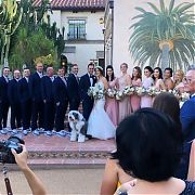 魏聖美大婚!婚禮盛大場面溫馨